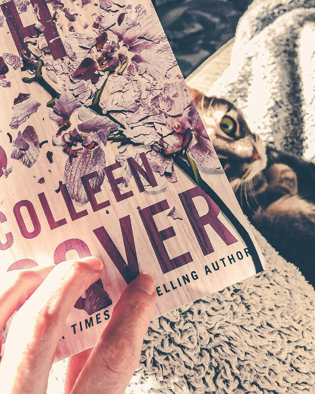 Cover of It Ends with Us by Colleen Hoover with gray tabby cat in background